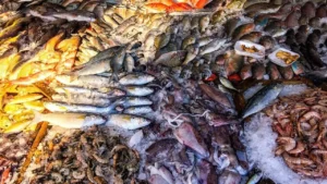 أسعار السمك في الأسواق المحلية الإثنين 8 ديسمبر 2025 وتداعياتها على مستهلكي الغذاء البحري